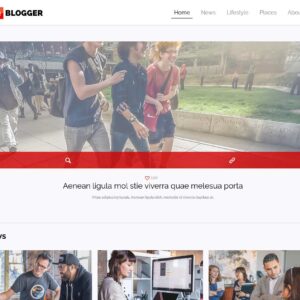blogger2 – Multi-Page Website Sample