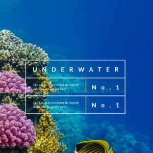 underwater – Multi-Page Website Sample